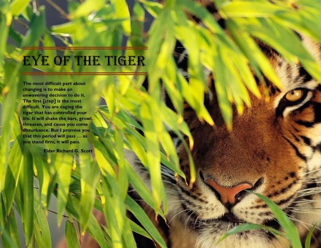 COMM 125 Eye of the Tiger Portfolio Last-page-001