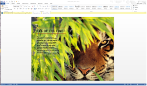 Eye of the Tiger Word Screenshot